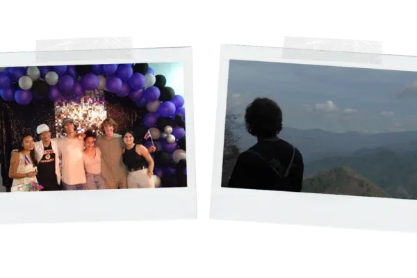 Narges_Bridge1.png