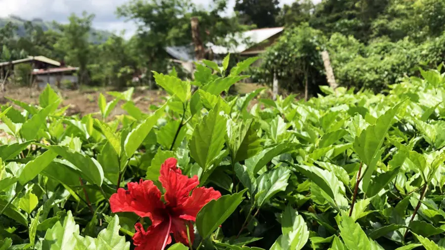 PZ-blog-header-1920×1080.jpg