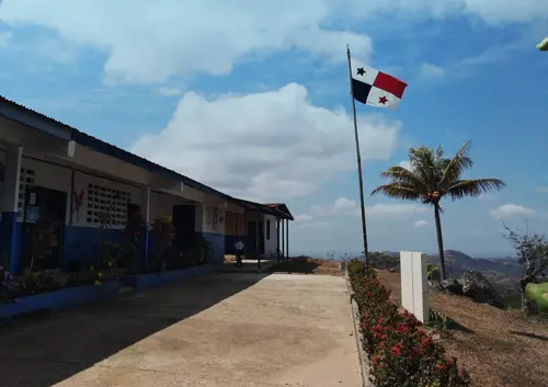 Panama-survey-blog-500x353.jpg