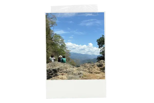 Spring26_Blog4.png
