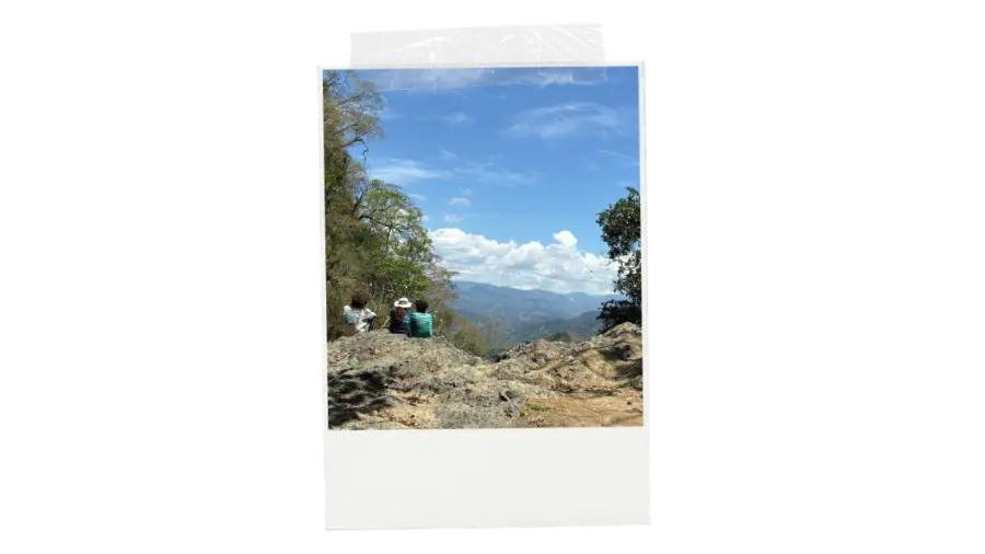 Spring26_Blog4.png