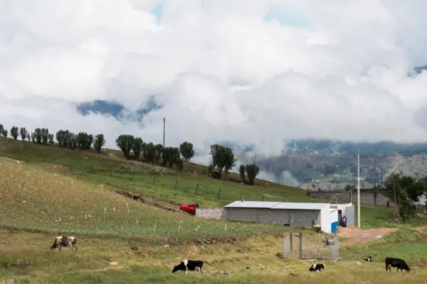 cloud-view-1920×670.jpg