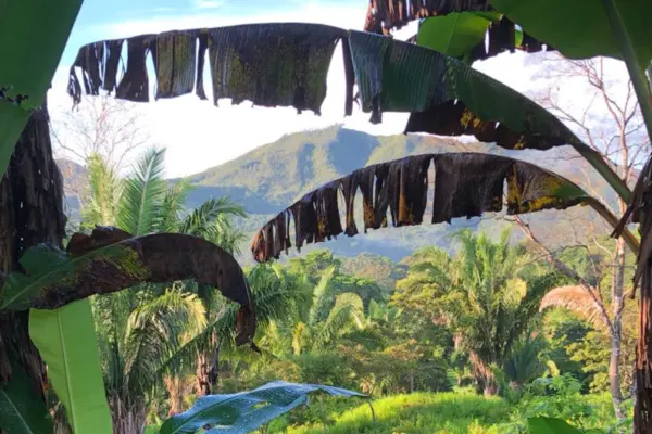 cocle-blog-1-landscape-1920×670.jpg