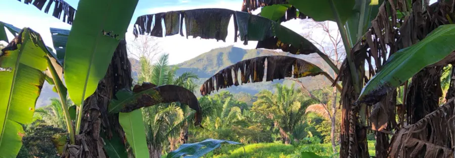 cocle-blog-1-landscape-1920×670.jpg