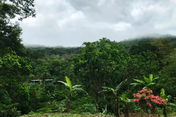 cocle-header-1-1920×1080.jpg