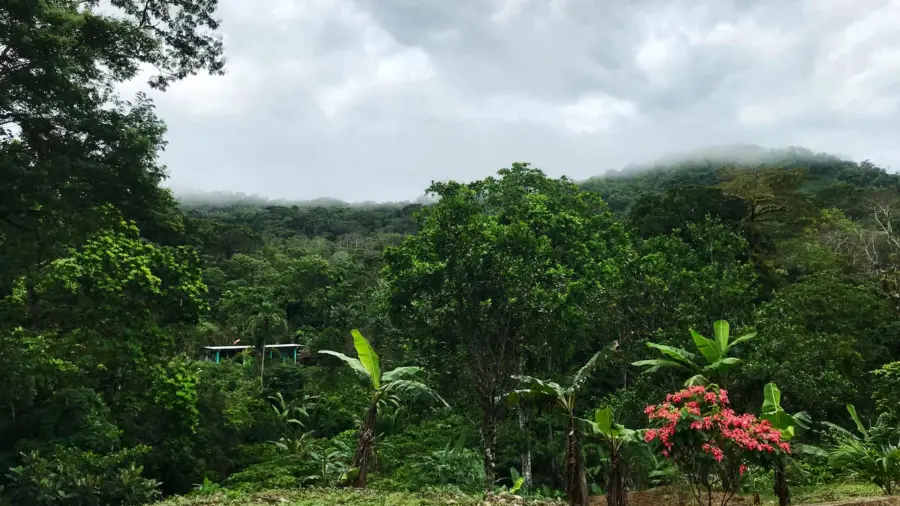 cocle-header-1-1920×1080.jpg