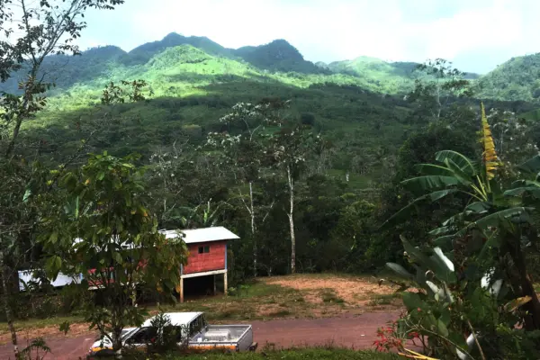 cocle-survey-18021920×1080.jpg