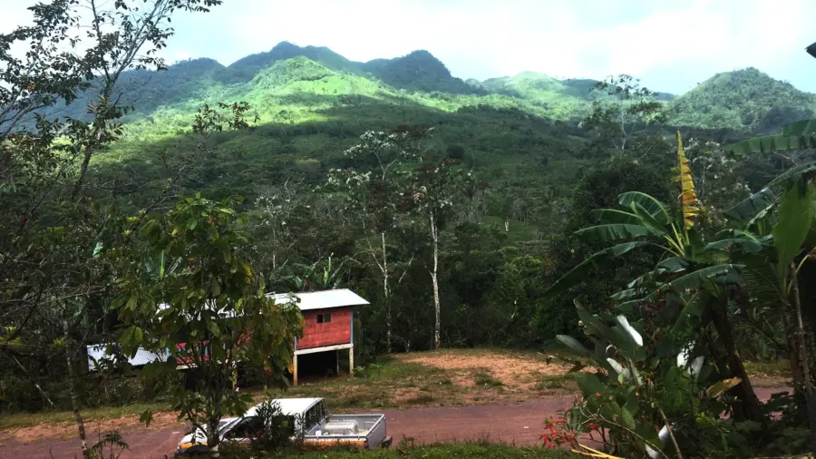 cocle-survey-18021920×1080.jpg