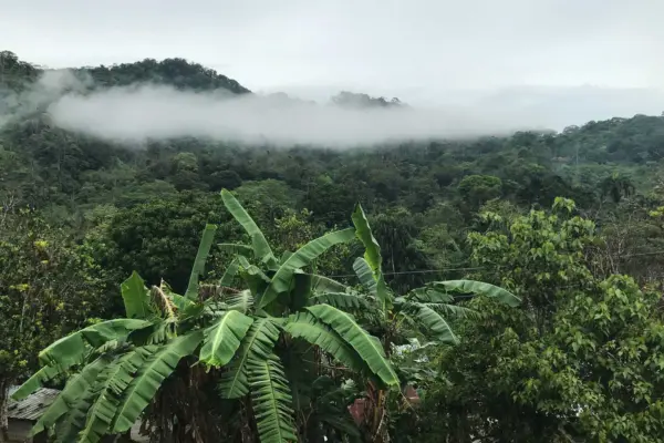 cocle19midterm1920x1080.jpg