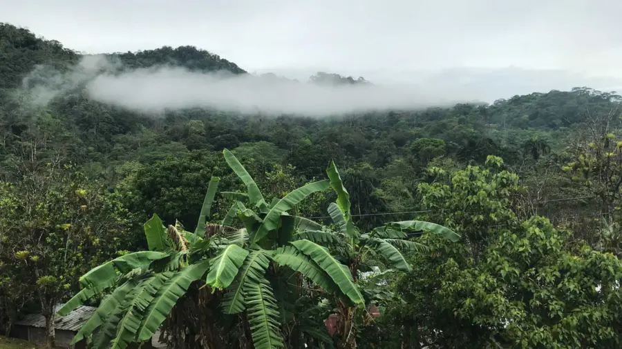 cocle19midterm1920x1080.jpg