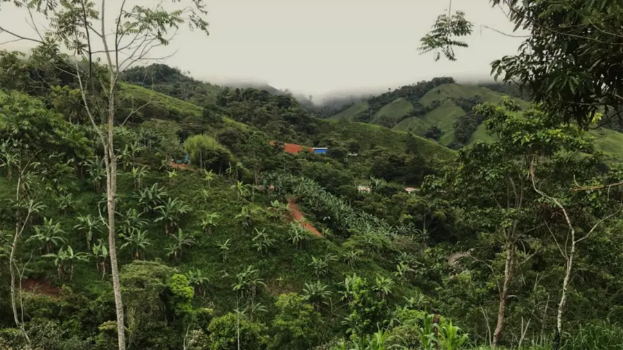 costa-rica-header-view-1920×1080.jpg