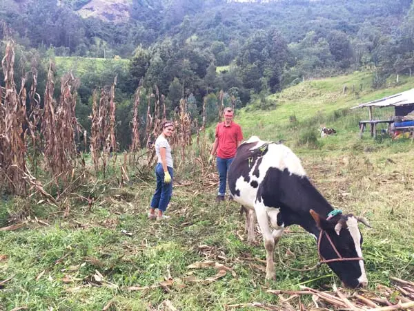 cuenca-farming-600×450.jpg