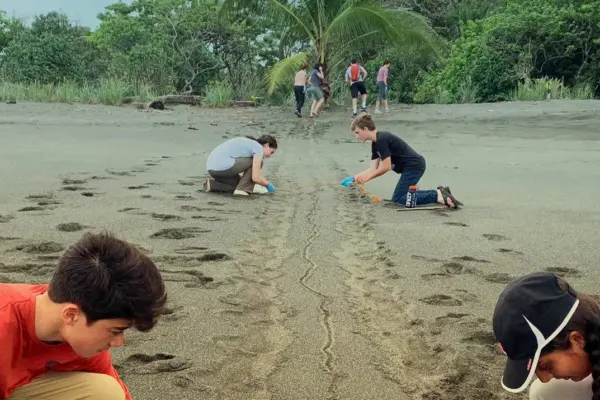 disc-panama-2020-1920×670.jpg