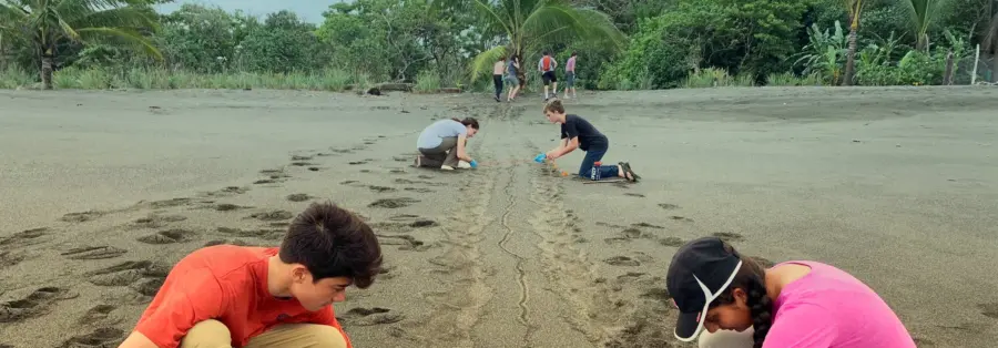 disc-panama-2020-1920×670.jpg
