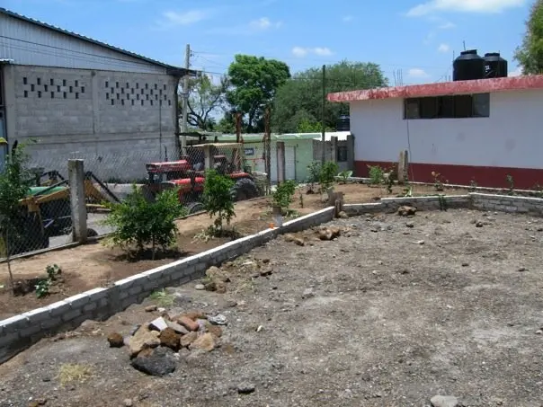 garden