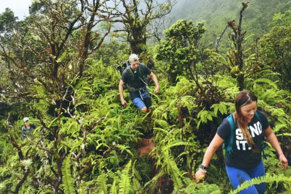 hiking-in-cr-1920×670.jpg