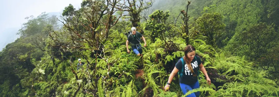 hiking-in-cr-1920×670.jpg