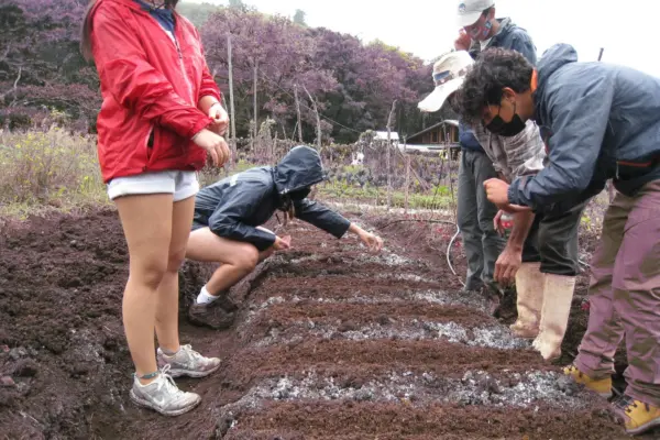 la-finca-san-fransisco-2-.jpg