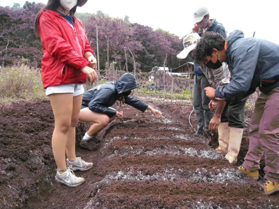 la-finca-san-fransisco-2-.jpg