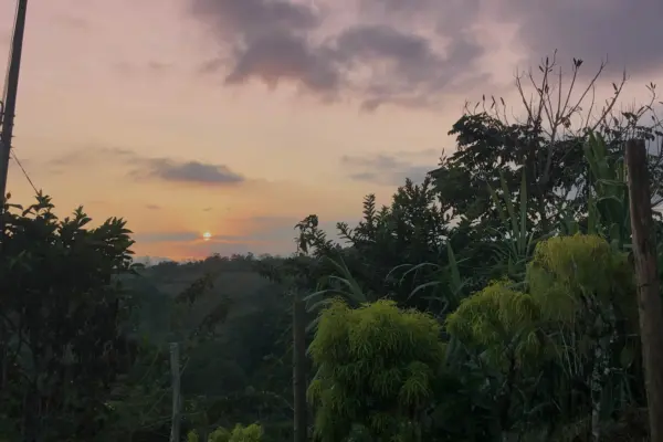 mira-blog-12-header-1920×1080.jpg