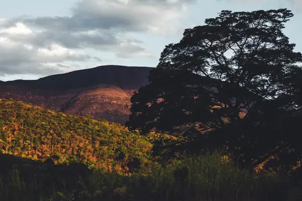 nathalia-segato-0XGJi7zLvvE-unsplash-1920×670-1.jpg