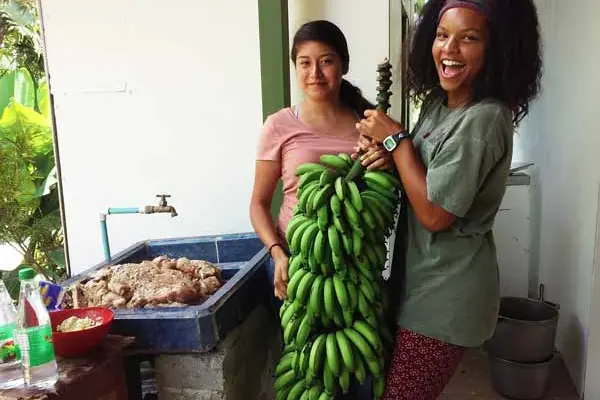 palmares-bananas-600×450.jpg