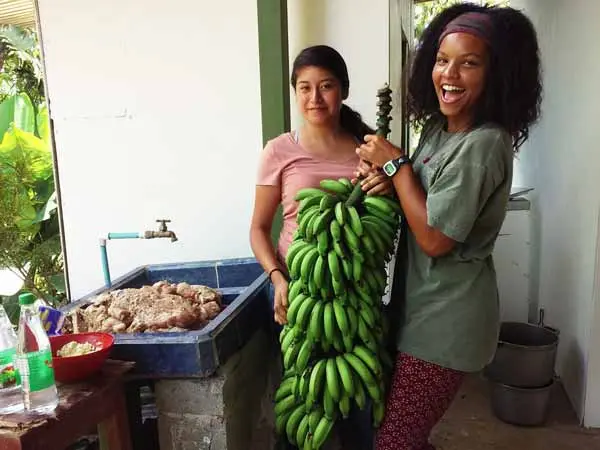 palmares-bananas-600×450.jpg