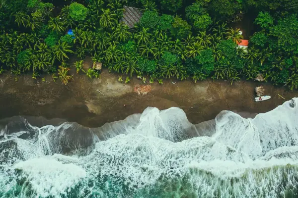 panama-beach-trees-1920×1080.jpg