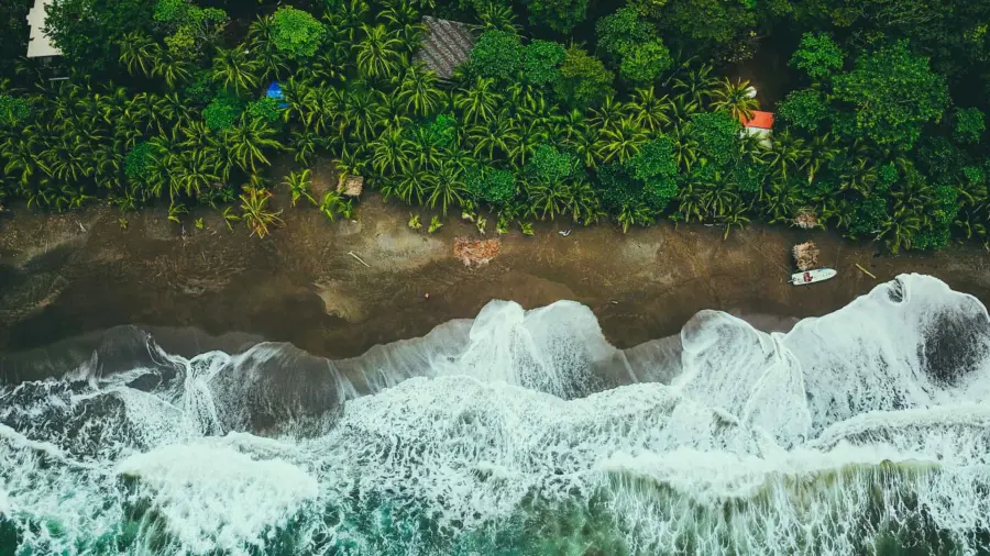 panama-beach-trees-1920×1080.jpg