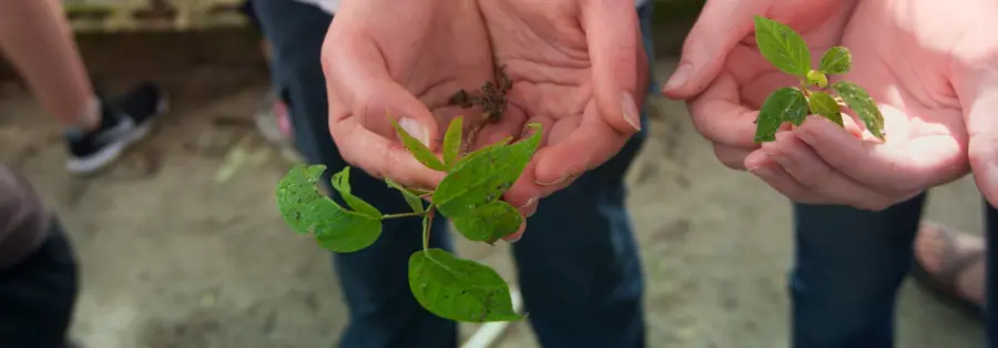 panama-reforestation-nursery-1920×670.jpg