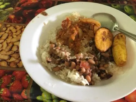 plantain panama