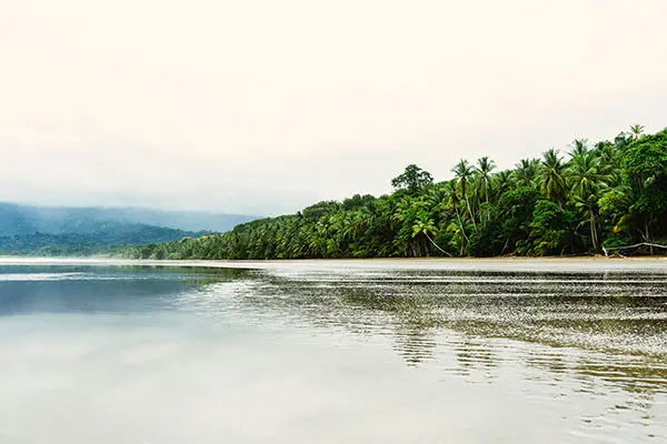 playa uvita 600x400